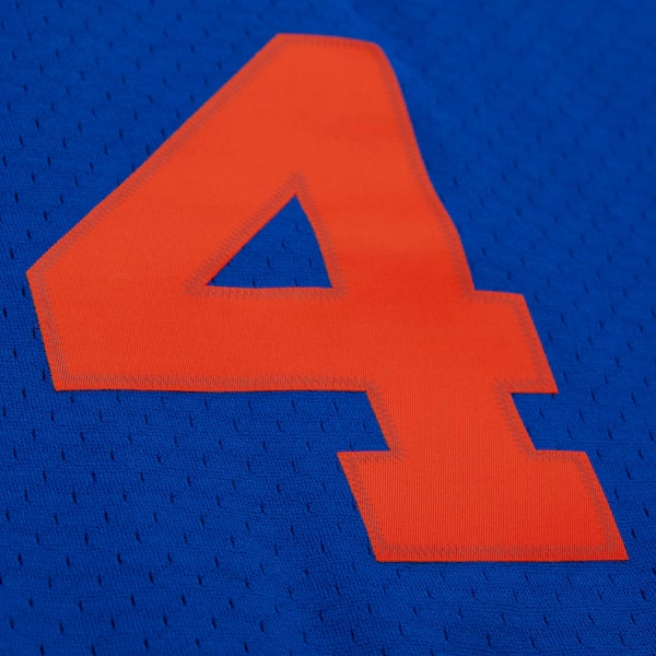 Nate Robinson New York Knicks 2005-06 Blue Swingman Jersey