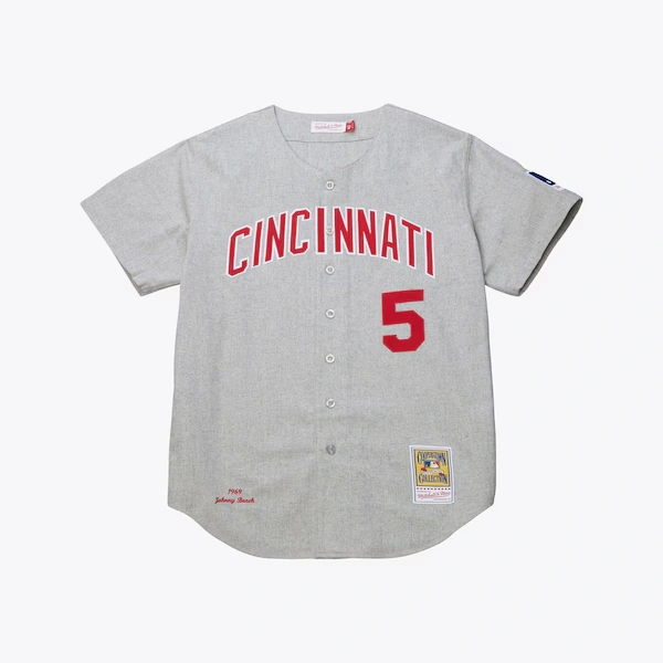 Johnny Bench Cincinnati Reds 1969 Gray Authentic Jersey