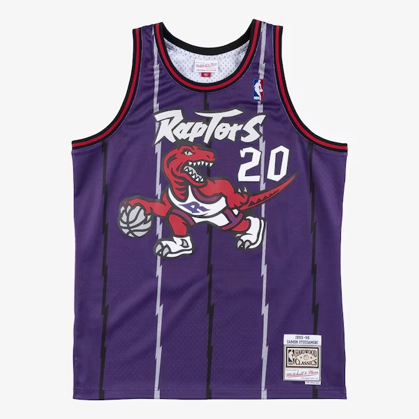 Damon Stoudamire Toronto Raptors 1995-96 Purple Swingman Player Jersey
