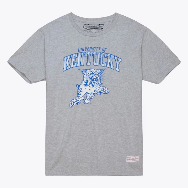 Kentucky Wildcats Heather Gray Vintage Arch T-Shirt