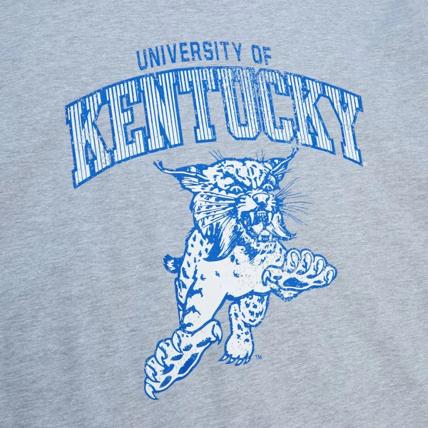 Kentucky Wildcats Heather Gray Vintage Arch T-Shirt