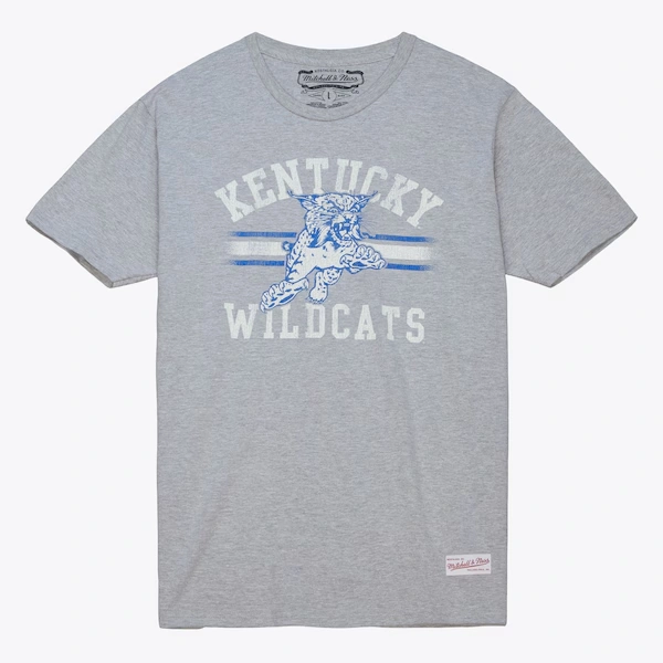 Kentucky Wildcats Heather Gray Vintage Stripes T-Shirt