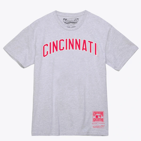 Cincinnati Reds Gray Wordmark T-Shirt