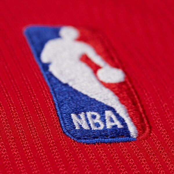 Chris Bosh Toronto Raptors 2003-04 Red Authentic Jersey