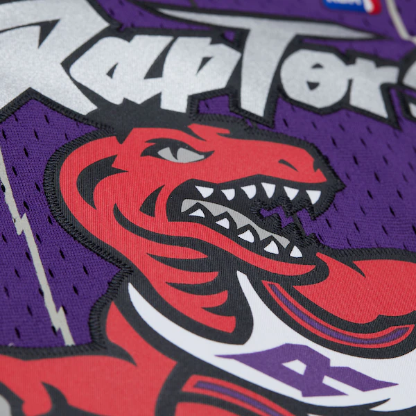Youth Tracy McGrady Toronto Raptors 1998-99 Purple Swingman Jersey