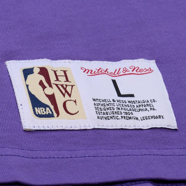 Vince Carter Toronto Raptors Purple Hardwood Classics Downtown Vintage T-Shirt