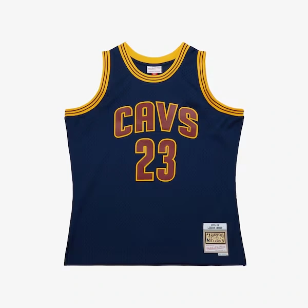 LeBron James Cleveland Cavaliers 2015-16 Navy Alternate Swingman Jersey