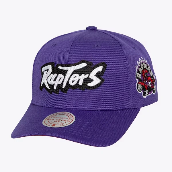 Toronto Raptors Purple Hardwood Classics Chain Gang Pro Crown Snapback Hat
