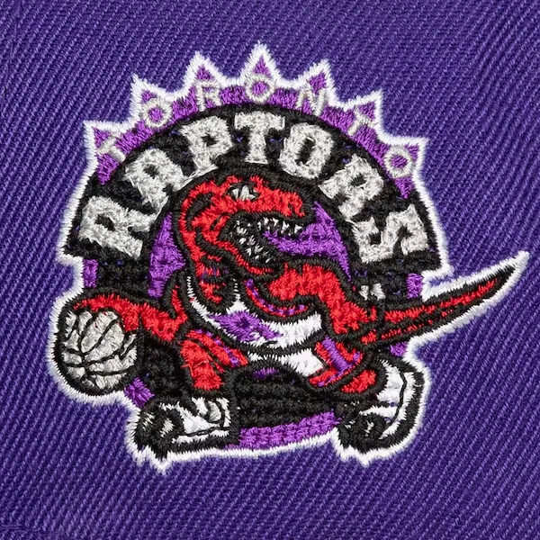 Toronto Raptors Purple Hardwood Classics Chain Gang Pro Crown Snapback Hat