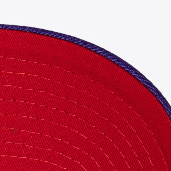 Toronto Raptors Purple Hardwood Classics Chain Gang Pro Crown Snapback Hat