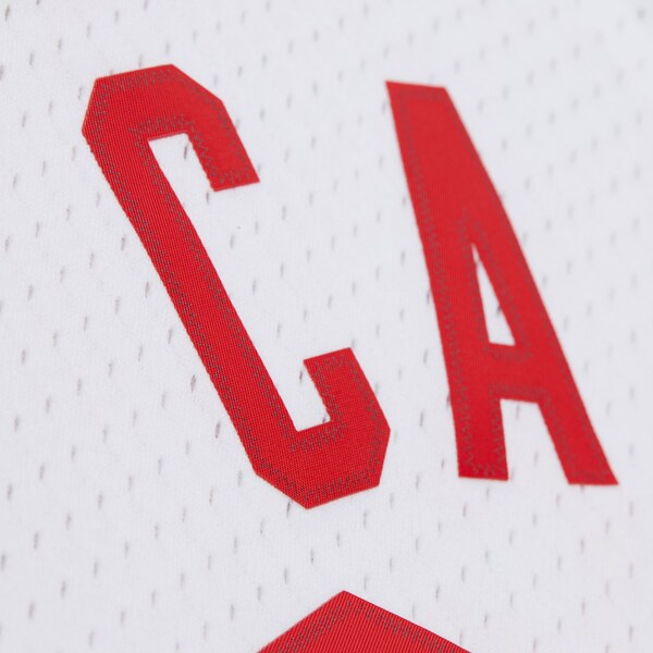 Vince Carter New Jersey Nets 2005-06 White Swingman Jersey 7 Vince Carter New Jersey Nets 2005-06 White Swingman Jersey