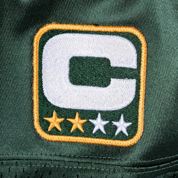 Charles Woodson Green Bay Packers Green 2010 Authentic Jersey