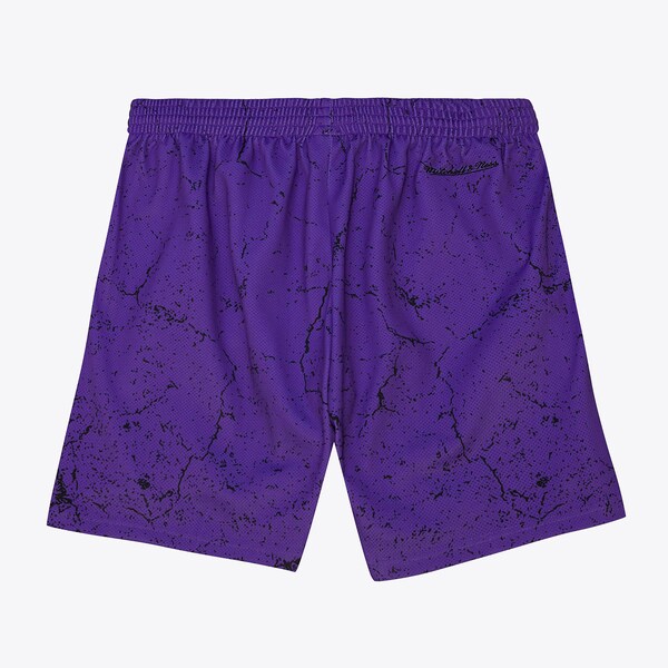 Vince Carter Toronto Raptors Purple Player Burst Shorts