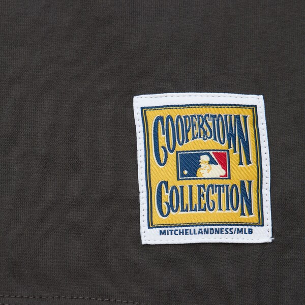 Women's Philadelphia Phillies Gray Logo Boyfriend T-Shirt