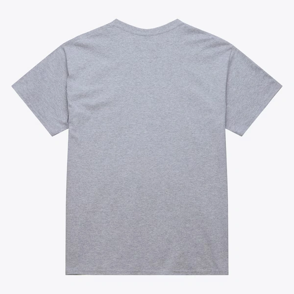 Chicago Blackhawks Gray Stateside Pastel T-Shirt