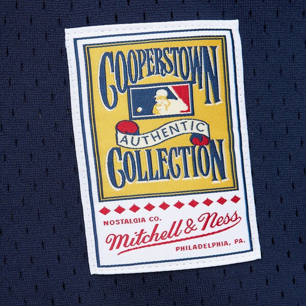 Carlton Fisk Chicago White Sox 1983 Navy Authentic Batting Practice Jersey