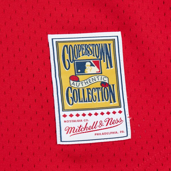 Darren Daulton Philadelphia Phillies 1993 Red Authentic Batting Practice Jersey 6 Darren Daulton Philadelphia Phillies 1993 Red Authentic Batting Practice Jersey