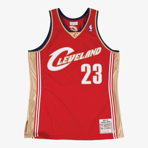 LeBron James Cleveland Cavaliers 2003-04 Wine Authentic Jersey