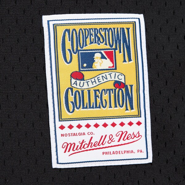 Cal Ripken Jr. Baltimore Orioles Black 2001 Authentic Batting Practice Jersey 5 Cal Ripken Jr. Baltimore Orioles Black 2001 Authentic Batting Practice Jersey