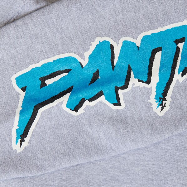 Julius Peppers Carolina Panthers Gray Pro Football Hall of Fame Pullover Hoodie 5 Julius Peppers Carolina Panthers Gray Pro Football Hall of Fame Pullover Hoodie